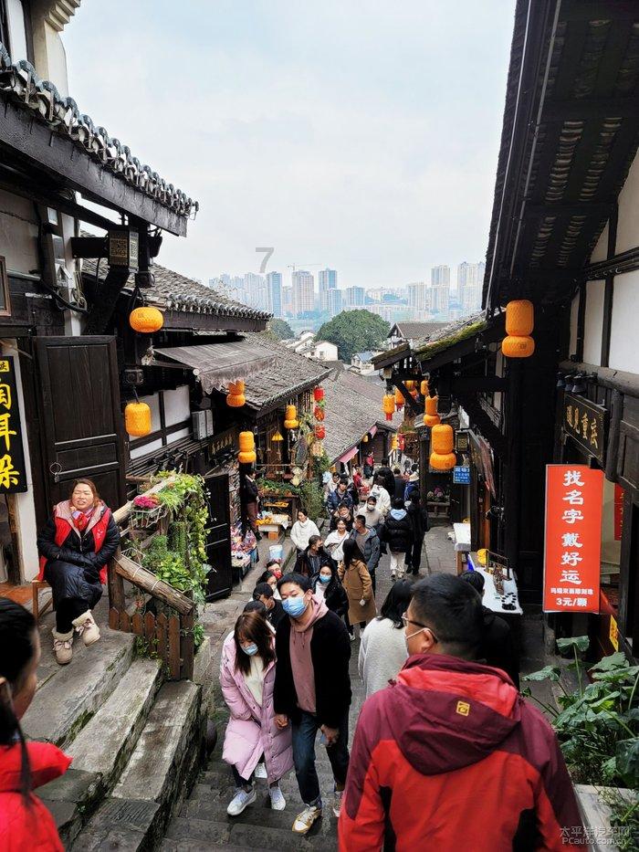 盐和避难所